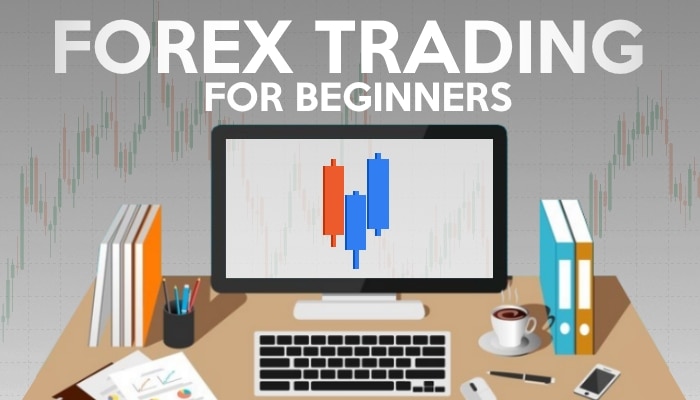 Beginner to forex trading